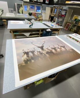 print av bilde for kunde i fåvang