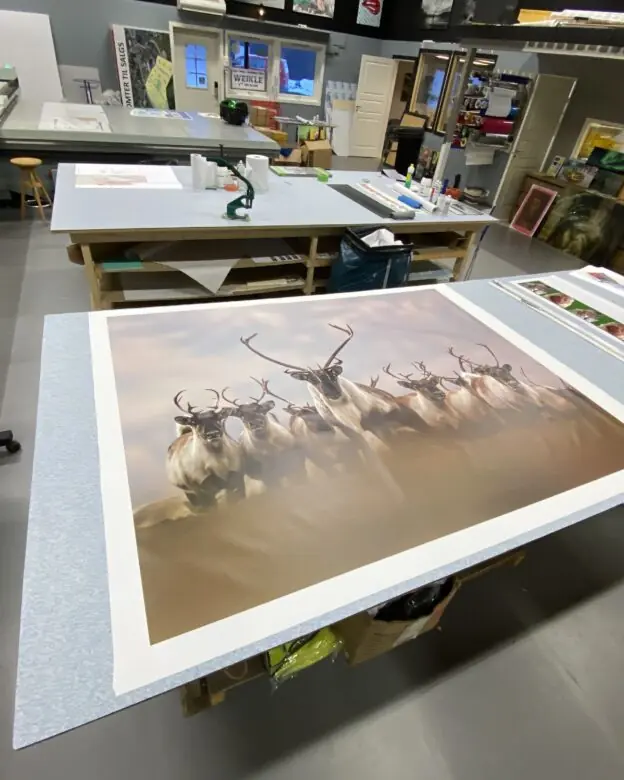 print av bilde for kunde i fåvang